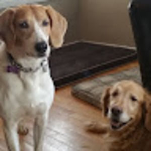 Meet your Posher, Zoe